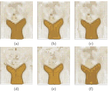 Figure 2.19.: Morphological reconstruction of a DTI image (reference image in Fig. 2.15