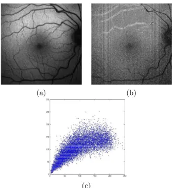 Figure 2.21.: Time lapse sequence of images from the retina: (a) mean image, (b) stan- stan-dard deviation image, (c) corresponding point cloud in the uni-dimensional Gaussian laws space.