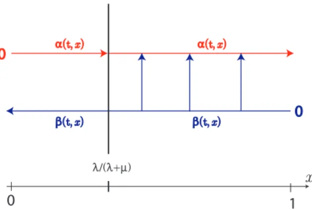 Figure 4.1: Schematic representation of the target system.
