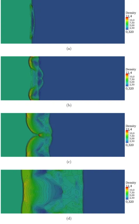 Fig. 2.19: Shock wave/doors interaction: 30 iso-contours of density in the plane y = z at times t = 0.02 s (a), t = 0.05 s (b), t = 0.1 s (c) and t = 0.25 s (d).