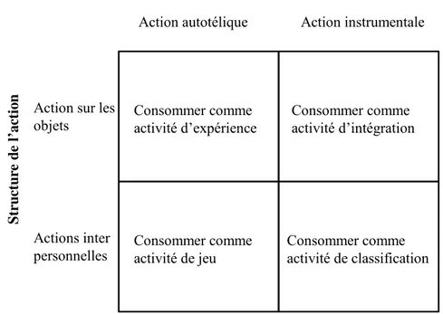 Figure 5 : métaphores de la consommation selon Holt (1995) 