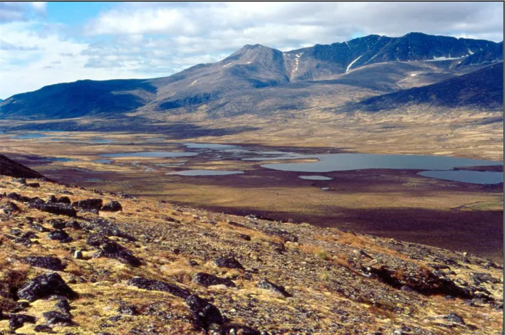 Figure 12:  La vallée Naqsaq (66º19'N 65º44'O) vue vers le nord-ouest depuis son flanc sud 