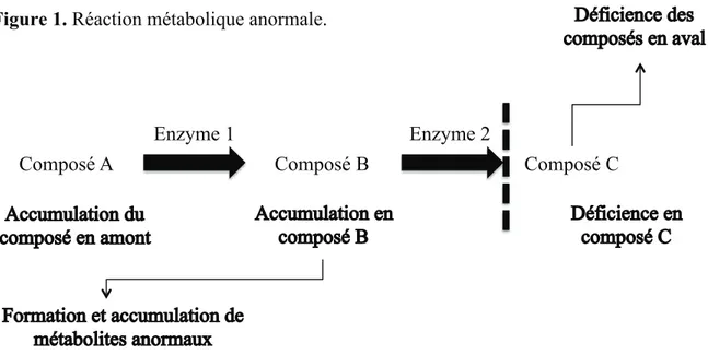 Figure 1. Réaction métabolique anormale. Figure 1. Réaction métabolique anormale.