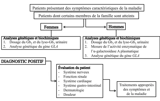 Figure 4. Déroulement du dépistage et du diagnostic de la maladie de Fabry. 
