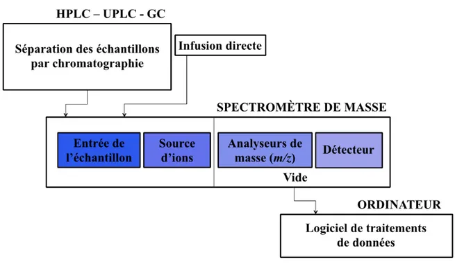 Figure 9. Schéma illustrant les composantes de base d’un spectromètre de masse. 