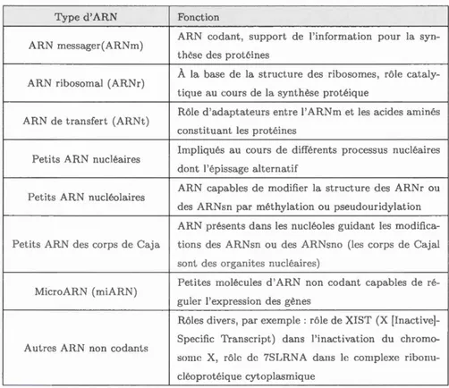 Tableau  2.1  L  s différentes espèces  d 'ARN présentes dans la  cellule et  leurs rôles 