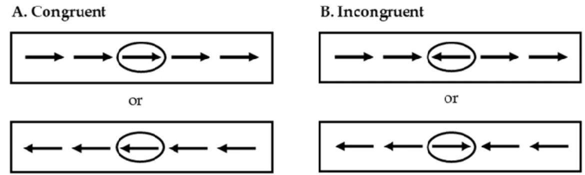 Figure 2. Flanker task. (A) Presented the two possibilities for a congruent trial. (B) Presented the two  possibilities for an incongruent trial