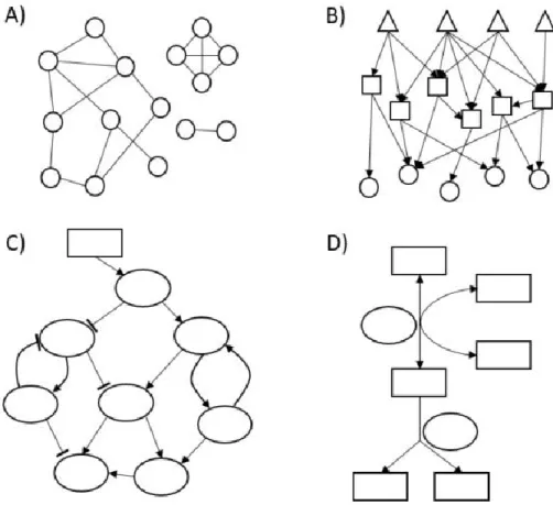 Figure 3 : Représentation graphique des différents types de réseaux biologiques. A) Réseaux d’interactions 