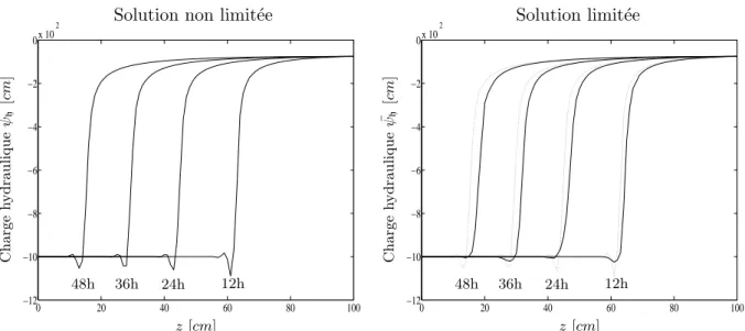 Fig. 2.9: Evolution du front d’infiltration du cas test de Polmann.