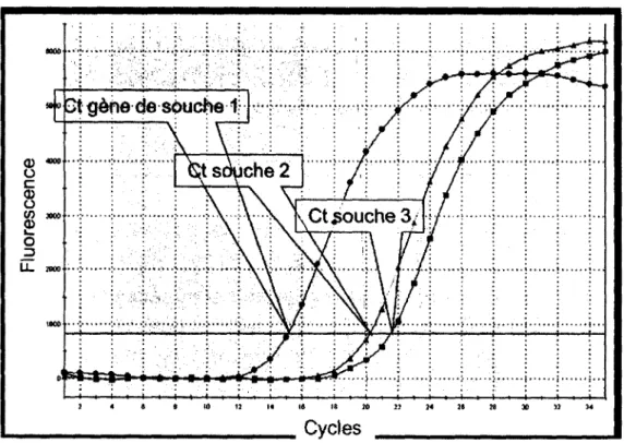 Figure  9.  Exemple  d ’expérience  de  PCR  quantitatif avec  le  SYBR-Green:  Différence  de 