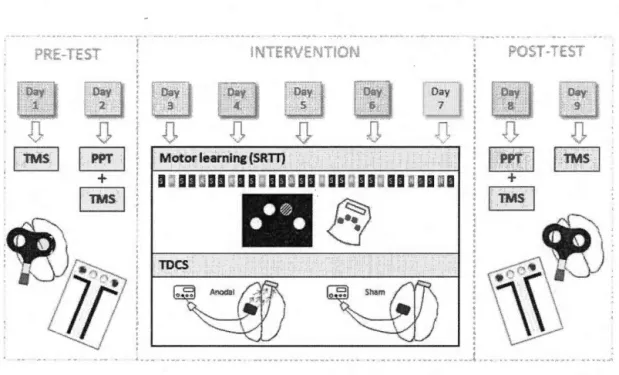 Figure 3.  1  Overview of the study design with the nine days of participation. 