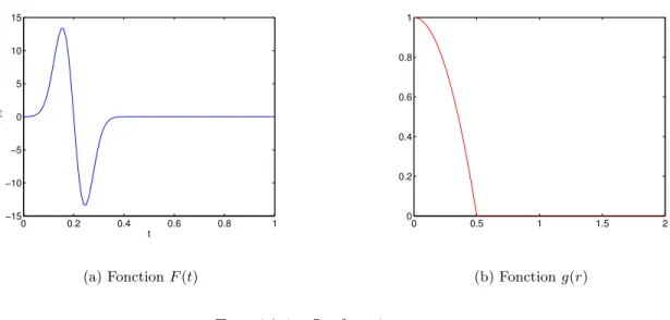 Fig. 4.2.1 – La fonction source