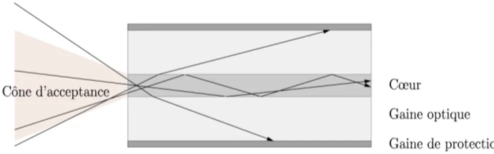 Fig. 2.2: La bre optique à saut d'indice comme un guide d'onde pour la lumière.