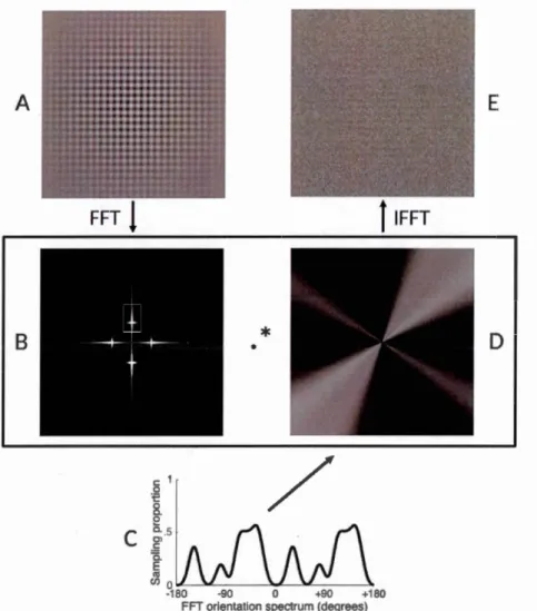 Figure  2.1 . Illustration of orientation bubbles filtering.  A plaid  (A) is  converted to  its  Fourier spectrum  with the  Fast Fourier Transforn1 (FFT) algorith:m,  and its  quadrants  are shifted  (B)