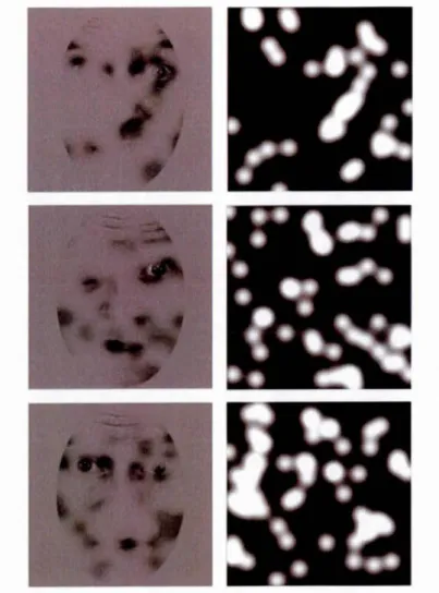 Figure 2.6.  Examples  of location bubbles filtered stimuli (left column), along with the  corresponding bubbles mask (right column), as applied in Experiment 3