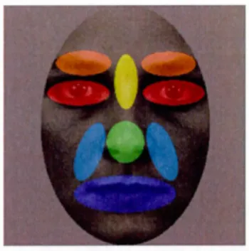 Figure 2.9.  Color coded regions ofinterest (ROI) used in the multiple linear 