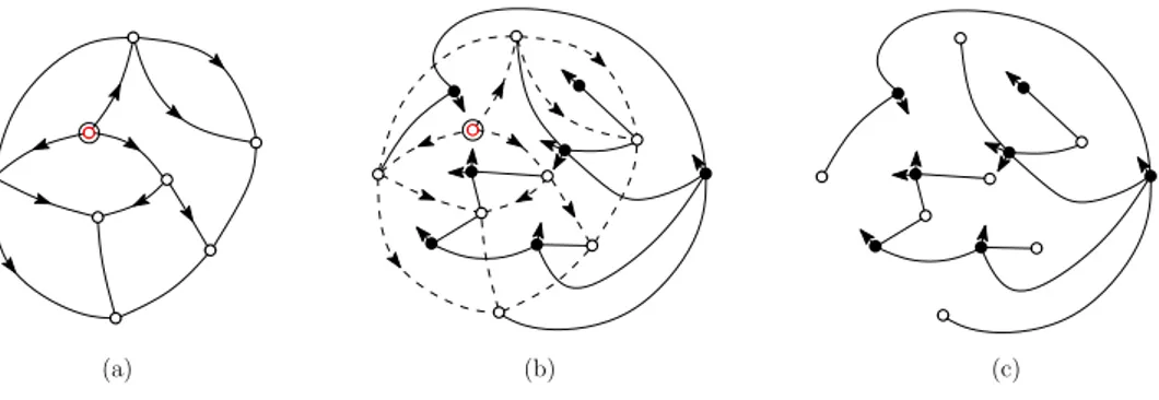 Figure 2.2: (a) A vertex-pointed map endowed with the geodesic orientation (with respect to the marked vertex)