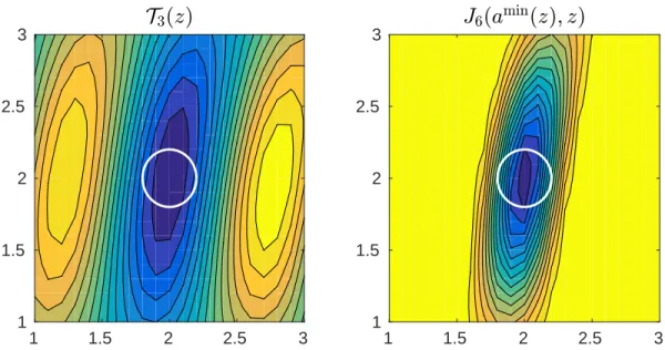 Figure 3.2: Isovalues of T 3 (z) and J 6 (a min (z), z) in the x 1 x 3 -plane passing by z true = (2, 2, 2), and