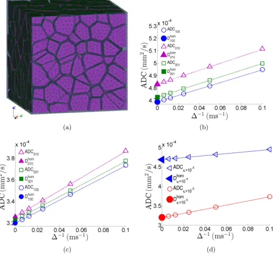 Figure 3.3: The computational domain with 100 Voronoi cells ( 3.3a ) and the con- con-vergence of ADC to kgkgT D hom g kgk in three directions [1,0,0], [0,1,0] and [0,0,1] for κ = 10 −4 m s ( 3.3b ) and κ = 10 −5 ms ( 3.3c )