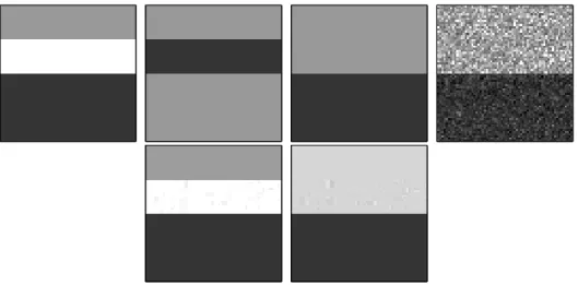 Fig. 2.3 – From left to right, top row : original f , multiplication operator t, image g = t.f , noisy observation of the image g ² 