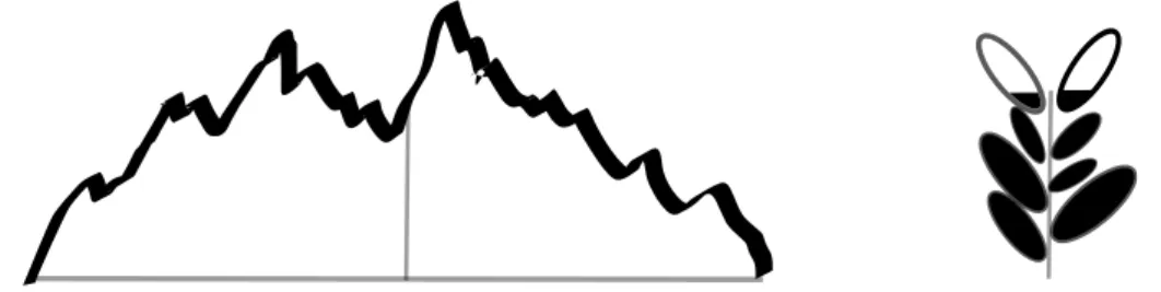 Figure 1.1: A gauche : une excursion du processus des hauteurs sous n et un point uniforme sur celle-ci,