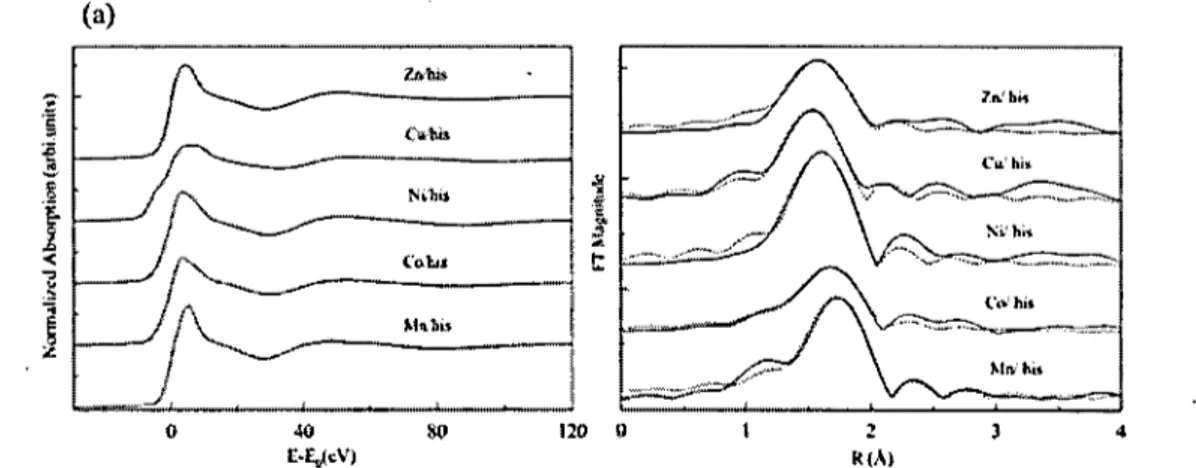 Figure 1.10  Spectroscopie des rayons X au seuil K du Zn, Cu, Ni, Co et Mn  des  cinq solutions Métal/ Histamine