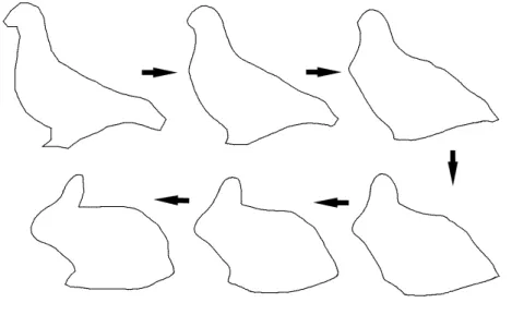 Figure 3.4: Interpolation in the shape space between two points (a bird and a rabbit) using six weighted means.λ = 0, 0.2, 0.4, 0.6, 0.8 and 1