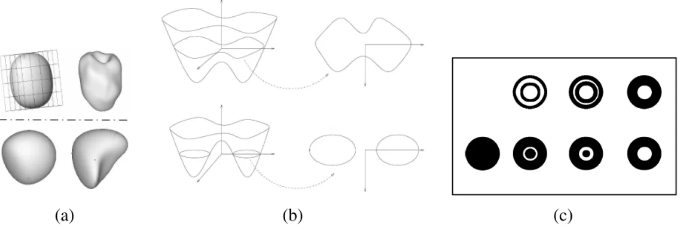 Fig. 2.3: Implicit representation: (a-top) superquadrics [8] (a-bottom) hyperquadrics [35], (b) topology change on level-set representation, (c) phase field toppology change [148].
