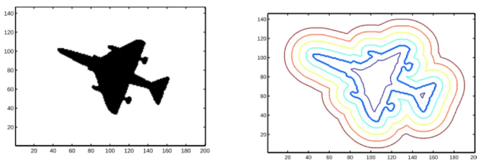 Fig. 2.4: Displaying zero and non-zero iso-contour of the distance transform extracted from a sample shape of plane.