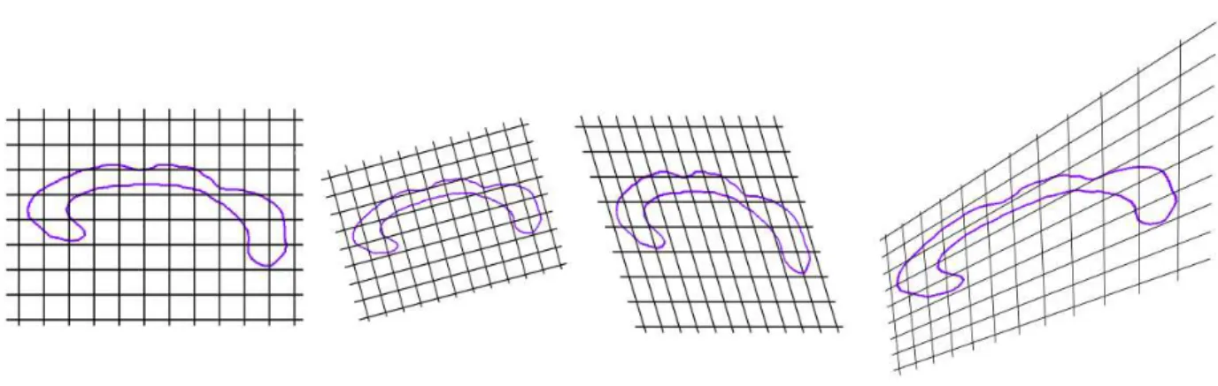 Fig. 2.5: Classic global transformations. From left to right, identity, rotation+scaling, affine, perspective transformation
