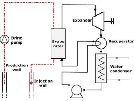 Figure 2.6 Working principle of a geothermal ORC system [1].  2.1.3 Biomass combined heat and power 