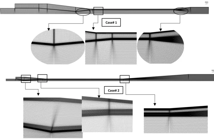 Figure 3.6 Details of the mesh grid used in the CFD calculations for Case# 1 (CAM) and Case# 2 (CPM) 