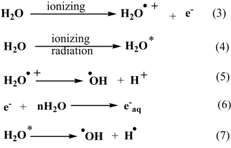 Figure  3:  Direct  and  indirect  damage  of  ionizing  radiation.  The  direct  effect  is  the  absorption of radiation by the DNA, while in the indirect effect damage is mainly caused  by  highly  reactive  •OH,  which  can  damage  further  to  DNA