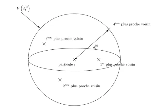 Fig. 2.5  Exemple de calcul de la densité locale d'ordre 4 autour de la particule i.