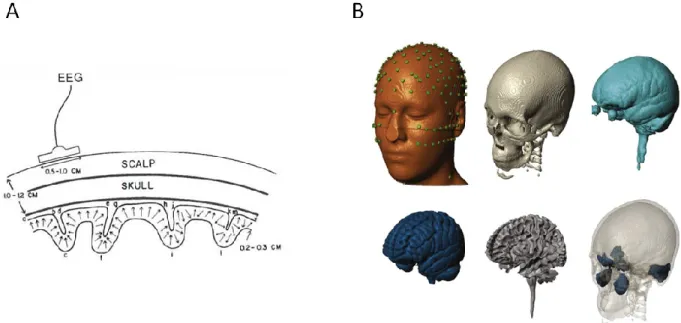Figure 1.10 – Gross anatomy and EEG . A) Cortical sources modeled as dipole layers in cortical  fissures  and  sulci,  EEG  is  sensitive  to  gyral  crowns  (region  a-b,  d-e,  g-h,  j-k)