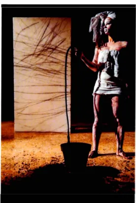 Figure 3  :Jeannette  Ehlers (2015),  Whip  it  Good [fouette le  bien], performance 