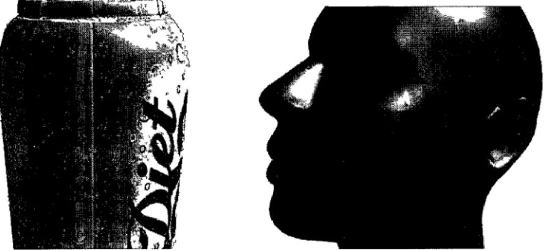 Figure 1 Application to simulate water condensation at left image and the human face sweating at right image 