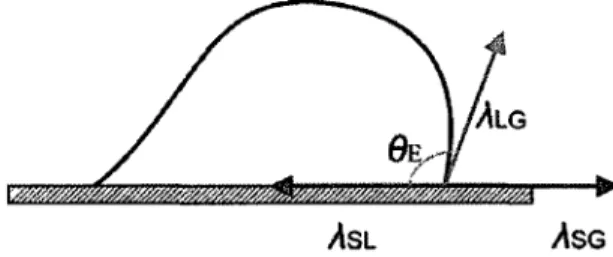 Figure 2 Surface tensions at the triple contact lines Solid Liquid 