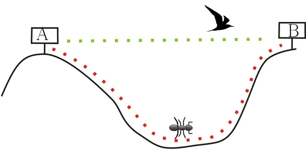 Figure 2.1: Travel length for the bird is shorter as the travel length of the ant. The ant is constrained to move in a different metric space than the bird.