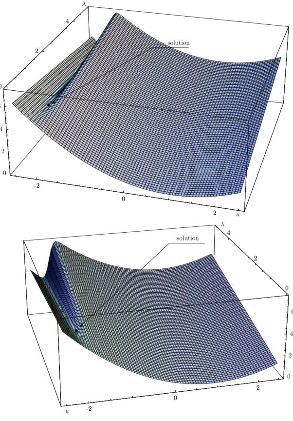 Fig. 5.3 – Lagrangien et solution