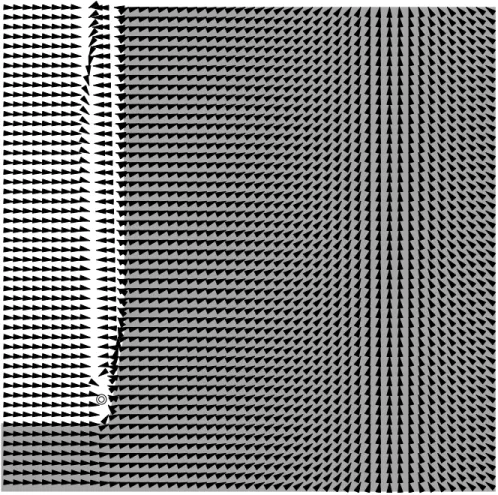 Fig. 5.4 – Champs de vecteurs pour l’algorithme d’Arrow-Hurwicz