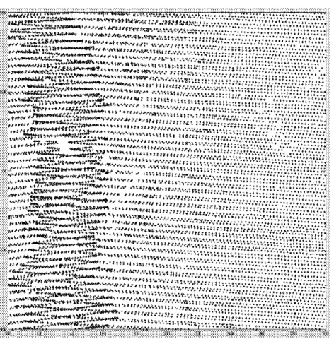 Figure 1.10: An irregular grid produceed by laser scanning over an area of 200 × 200 meters.