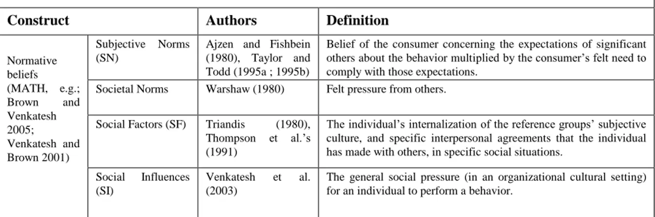 Table 6.  Normative beliefs construct. 
