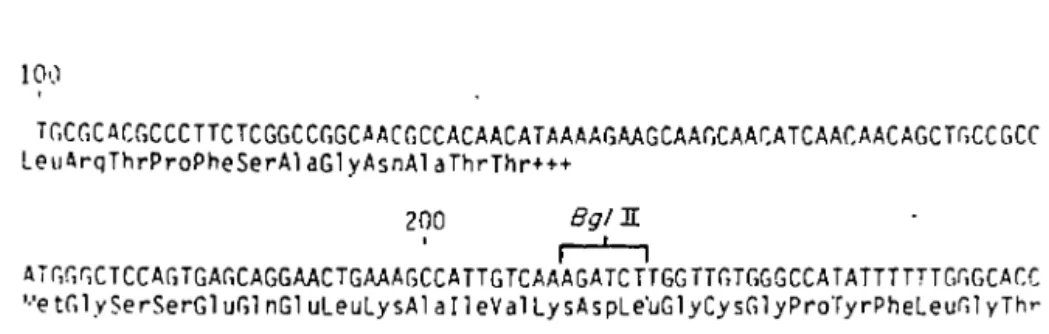 Figure  4:  Séquence  de  l  'ADN  codant  pour  la  protéinase  de  l  'adénovirus  de  type  2  avec  la  mutation  de  H2tsl  selon  Yeh-Kai  et  al.,  1983