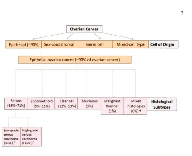 Figure  1 . 1  Classification  histologique  du  cancer  de  l ' ovaire.  Classification  du  cancer  de  l'ovaire épithé l ia l  et pr év alence des sous-type s  h is t o lo g ique s 