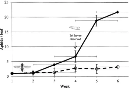Figure 2.1 Average number of foxglove aphids per green pepper leaf for each treatment over 6 weeks  for block 1 (A) and block 2 (B) in experimental greenhouse