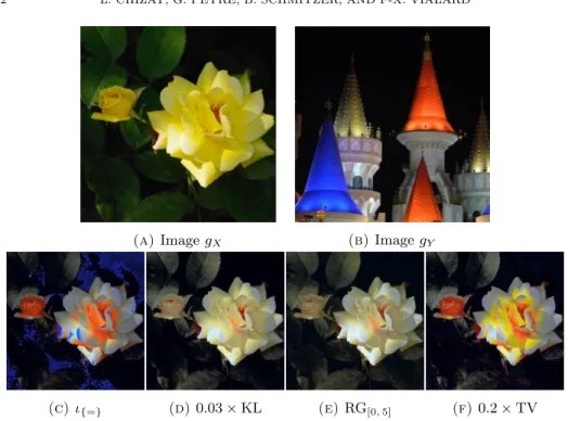 Figure 8. A challenging color transfer experiment where the col- col-ors of the image g Y are transferred to the image g X 