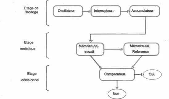 Figure 1.  Modèle de la SET d'après Gibbon (1984), dans Clément, 2008 
