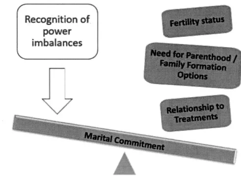 Figure 4.1  Relationship power dynamics in couples facing infertility and ART 