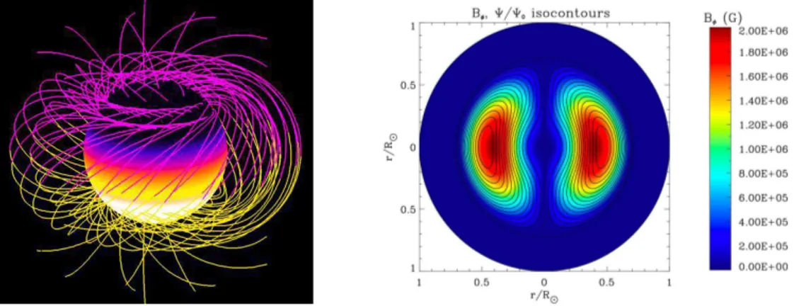 Figure 3.4 – À gauche (a), Représentation tridimensionnelle des lignes de champ pour la configuration de champ magnétique mixte poloïdale-toroïdale confinée dans la zone radiative du Soleil ; à droite (b), représentation de l’intensité du champ magnétique 